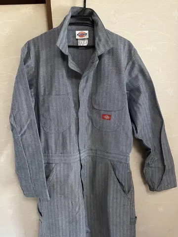 Dickies 스트라이프 오버롤