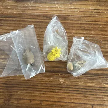 히구치 유코 PUTITTO 아노마로 테아시오카불가사리 흙그리 꼬마 세트