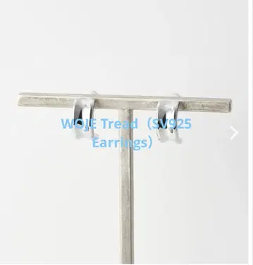 [시착만 한 상품] WOJE Tread (SV925 Earrings)