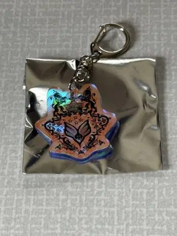 BUMP OF CHICKEN 홈시크 위성 키링 시크릿