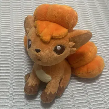 포켓몬 fit 봉제 인형 로콘