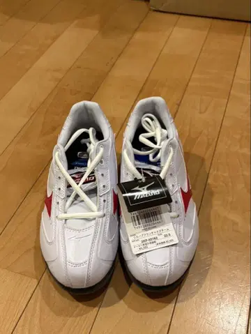 Mizuno 트레이닝 슈즈 ZKP-55162 22.5cm