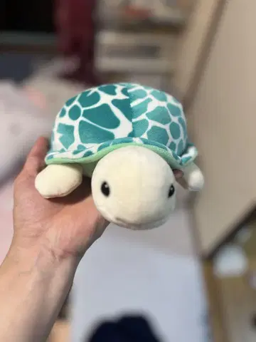 거북이 봉제 인형 파랑과 그린