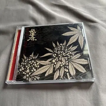 CD
