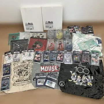 디즈니 100주년 복권 미개봉 새상품