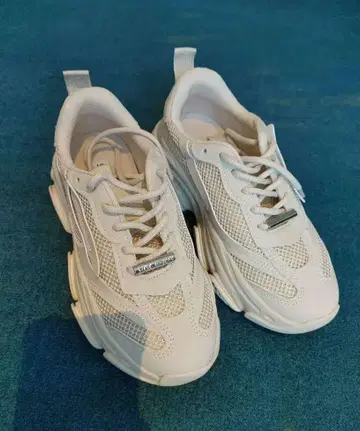 STEVE MADDEN 통굽 대드 볼륨 밑창 스니커즈