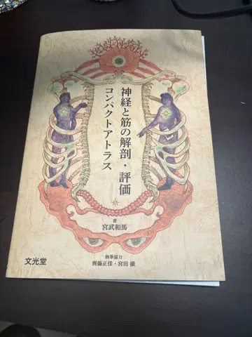 [재단 완료] 신경과 근육 해부 평가 컴팩트 아틀라스