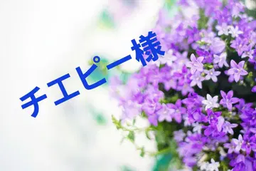 치에피 님 주문 상품