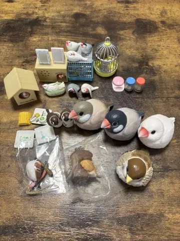 문조, 참새, 잉꼬, 종합 세트