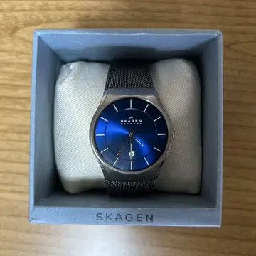 SKAGEN 손목시계 쿼츠 블루 다이얼