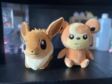 이브이 깜곰
