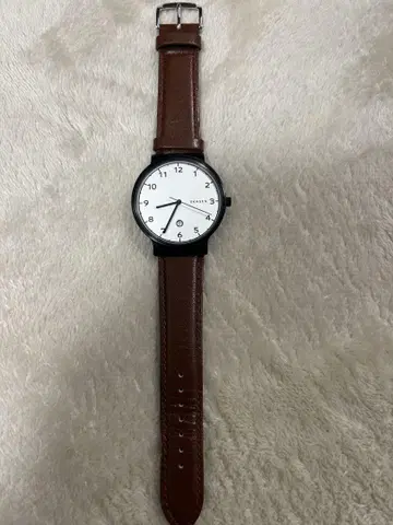 SKAGEN 아날로그 손목시계