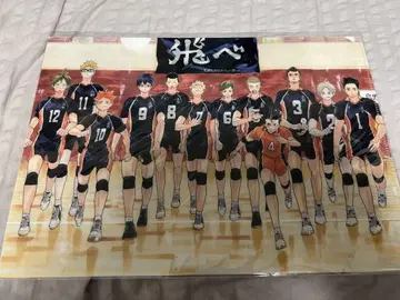 [새상품 미사용] 하이큐 원화전 세터 클리어 파일