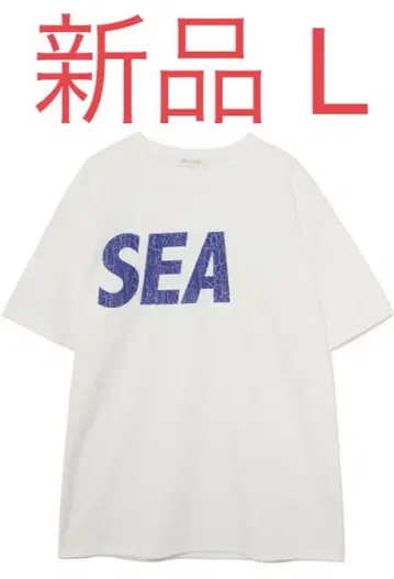 WIND AND SEA (CRACK-P-DYE) S/S 티 L WH