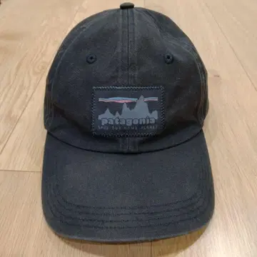 patagonia 캡 블랙