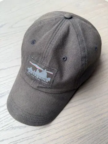 patagonia 6-P 라벨 트레드 캡