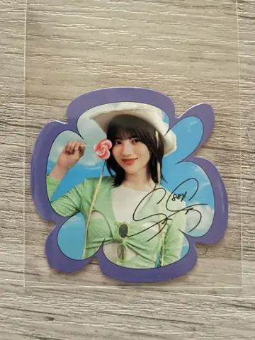 노기자카 키친카 2025 마그넷 시트 하야시 루나