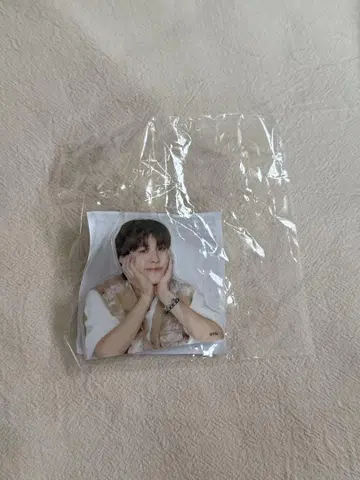 TREASURE 정환 캡슐 토이 클립