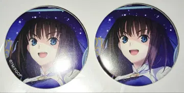 FGO fes 페스티벌 영기소환 캔뱃지 영기 캔뱃지 아오코