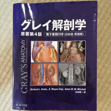 그레이 해부학 원저 제4판