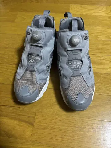 리복 펌프 퓨리