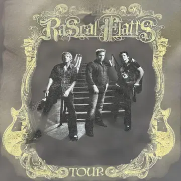 Rascal Flatts 투어 T셔츠 S 그레이 밴드T