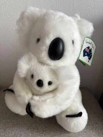 새상품급 코알라 봉제 인형 화이트 호주