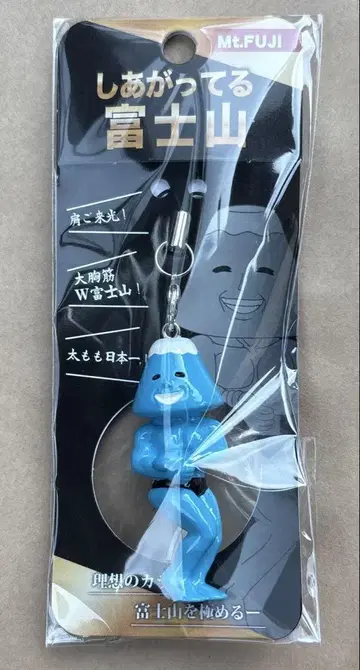 끝내주는 후지산 키링