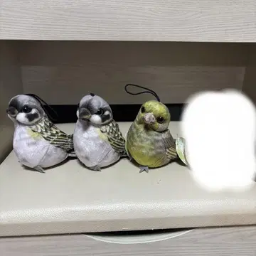 리얼 코토리 마스코트 3점