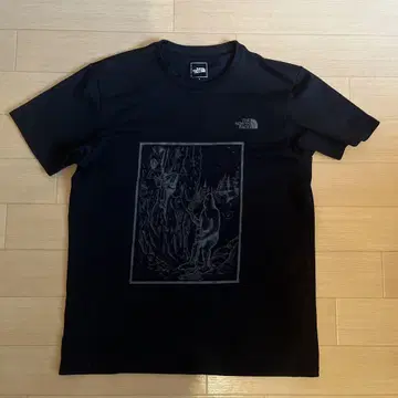 THE NORTH FACE 블랙 티셔츠