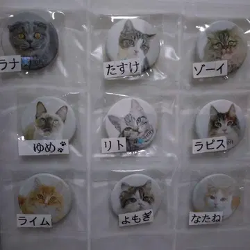 MOFF의 고양이 캔뱃지 9개