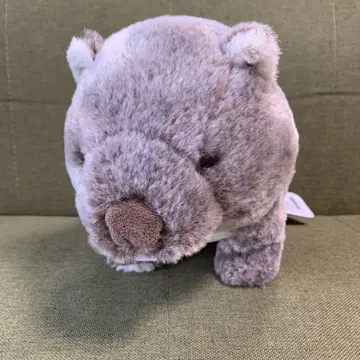 선레몬 플러피즈 봉제 인형 웜뱃