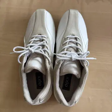 젝시오 골프화