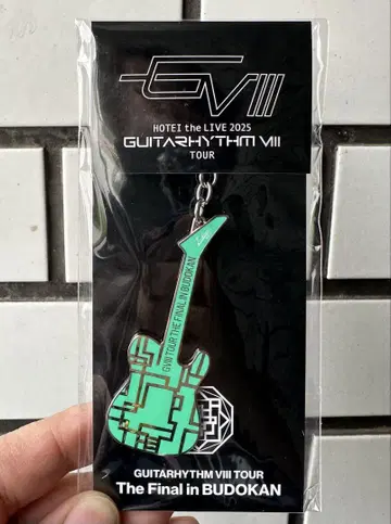 Guitarhythm VIII 메탈 키링 그린 한정판 부도칸