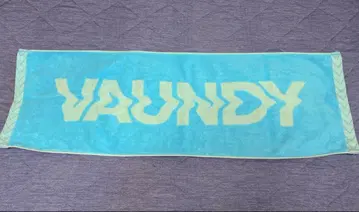 Vaundy 타월 스카이블루