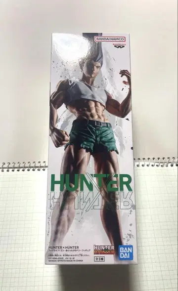 HUNTER x HUNTER 곤 프릭스 피규어