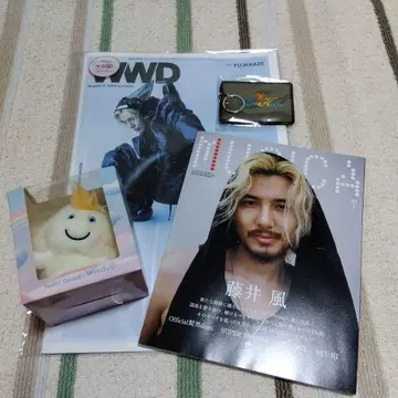 후지이 카제 러기지 택 Windy 봉제인형 WWD MUSICA 4세트