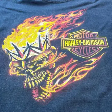 Harley-Davidson 프레임 스컬 T셔츠 00s XL 상당