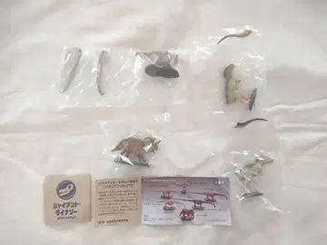 대공룡전 2024 가챠가챠