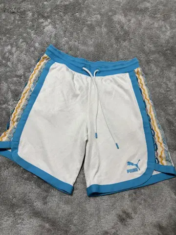 PUMA 메쉬 숏팬츠 L 사이즈