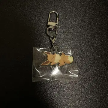 포켓슬립 아크링 키링 이브이