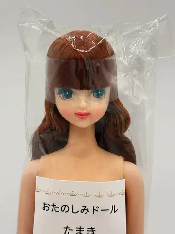 타마키 적갈색 계열 오타노시미 인형 리카짱 캐슬 리틀 팩토리