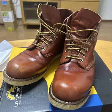 RED WING 8166 아이리쉬 세터 26.5cm