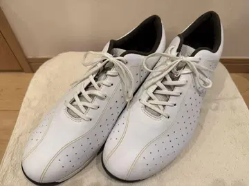 Mizuno 워킹화