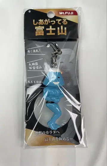 지역 한정 후지산 시리즈 완성된 후지산 스트랩 캐릭터 키링