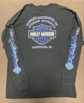 harley davidson 할리 블루프레임 L