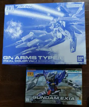 HG 건담 엑시아 & HG GN 암즈 TYPE-E