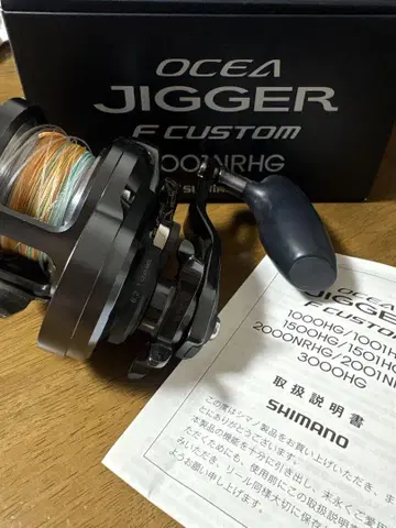 SHIMANO OCEA JIGGER F CUSTOM 2001NRHG