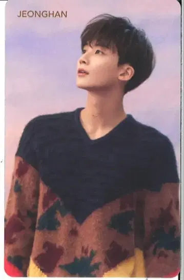 SEVENTEEN HMV JEONGHAN 흩날리는 꽃잎 Pink