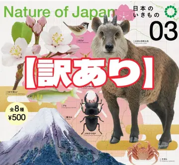 [ 1점 하자품 ] 전8종 NATURE OF JAPAN 일본의 생물 3